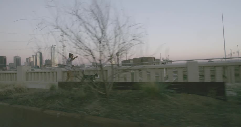 A skateboarder is being pulled along by his dog