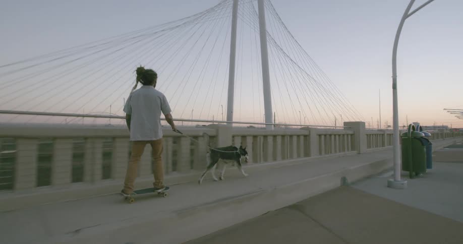 A dog pulls a man on a skateboard