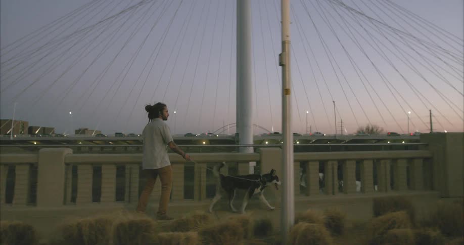 A man rides a skateboard while leading a dog