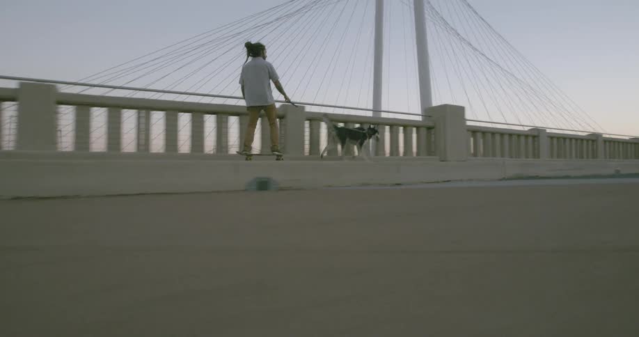 Man rides on a skateboard over a bridge being pulled by a dog on a leash