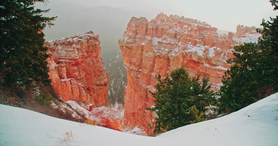 Snow falls on pine trees and rock pillars in a canyon during the day