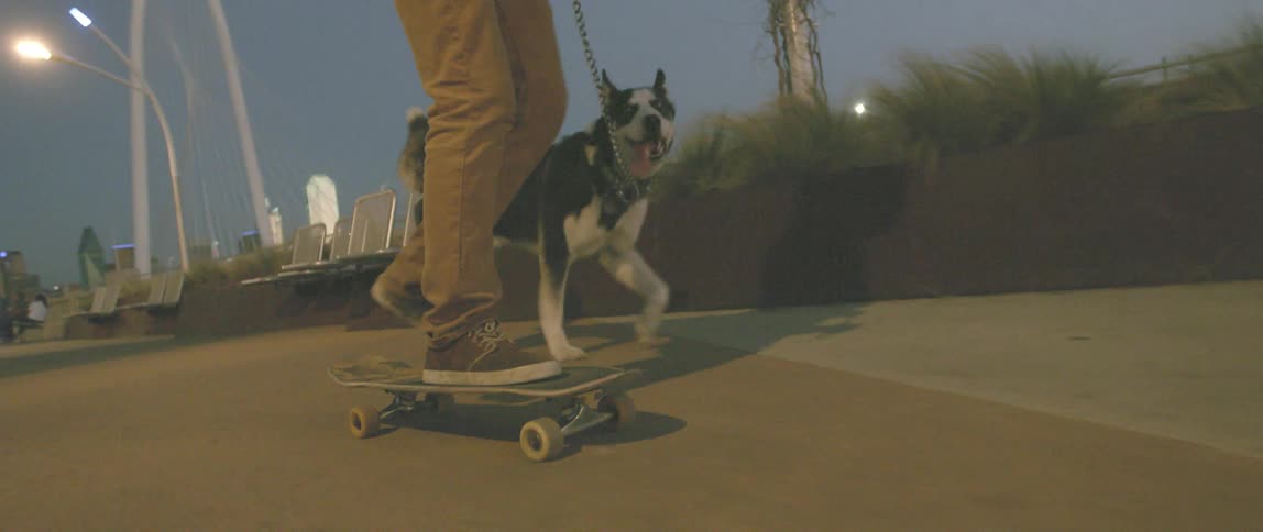 A man skateboards with his dog