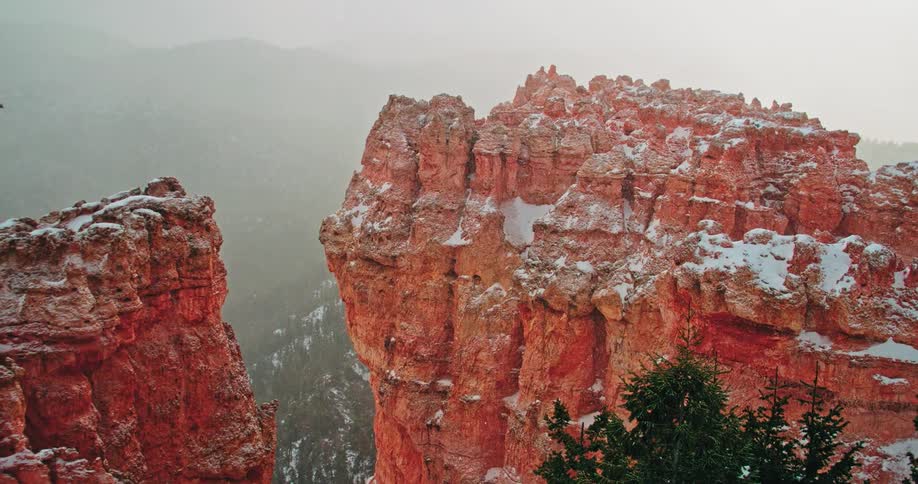 Snow falls on pine trees and rock pillars in a canyon during the day