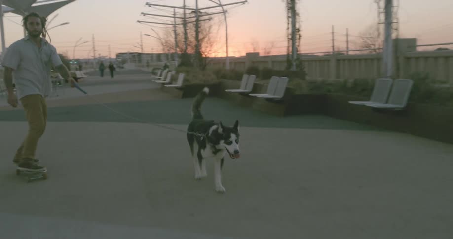 A man skateboards with his dog