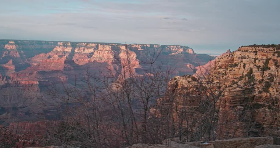 A tree leans on top of a cliff by a canyon