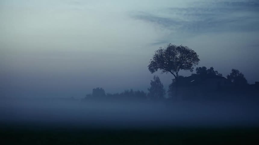 The mist is creeping over the fields and flowers