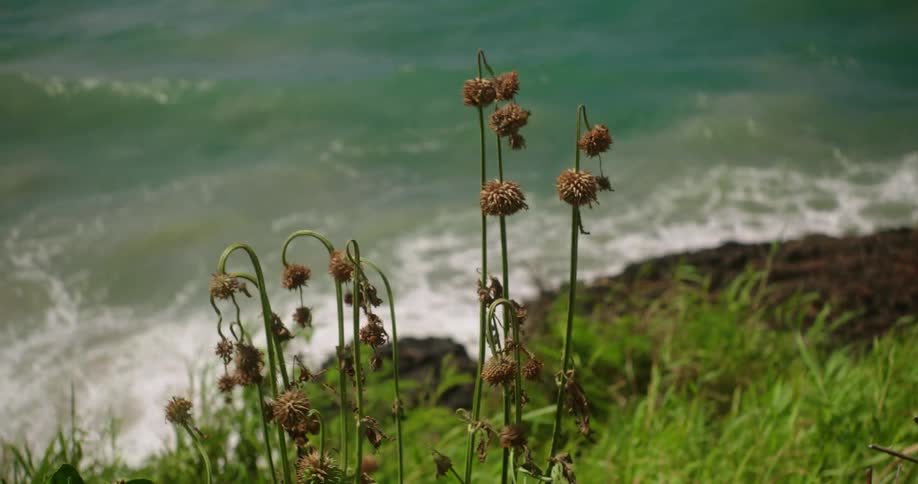 Waves flow onto the shore as the wind blows