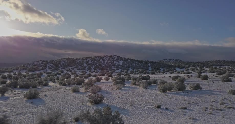 A shrubby desert leading to hills