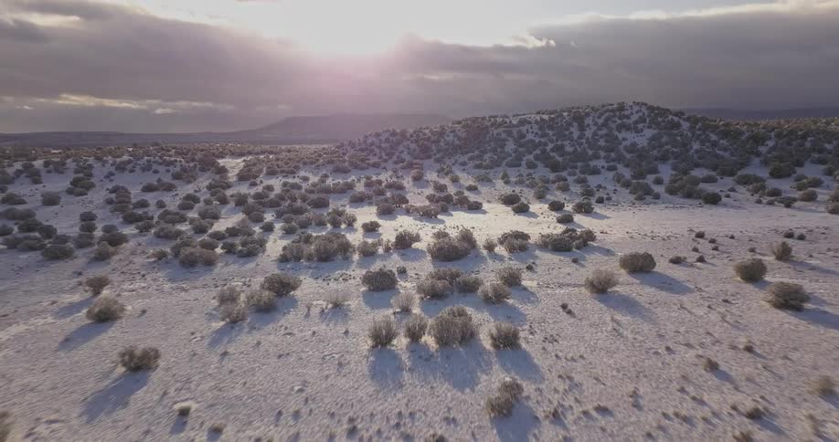 A shrubby desert on a partly cloudy day