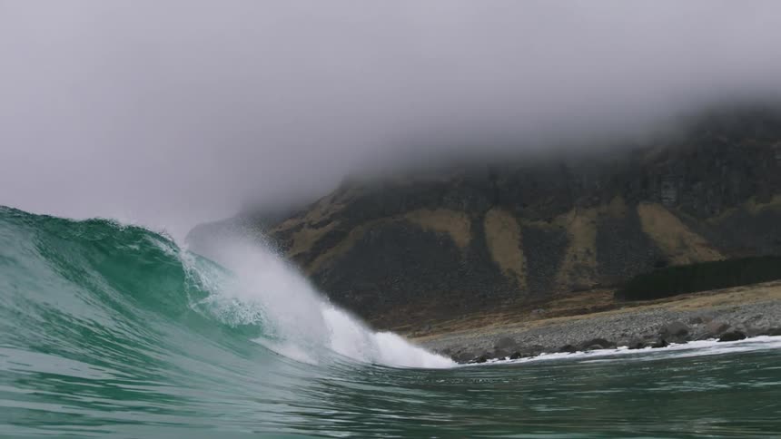 A wave builds and crests near the shore