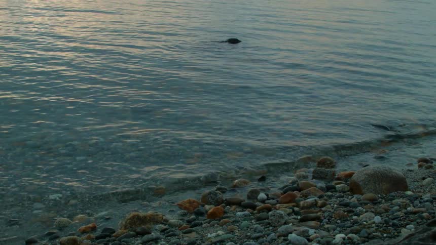Water ripples over rocks as it comes to shore
