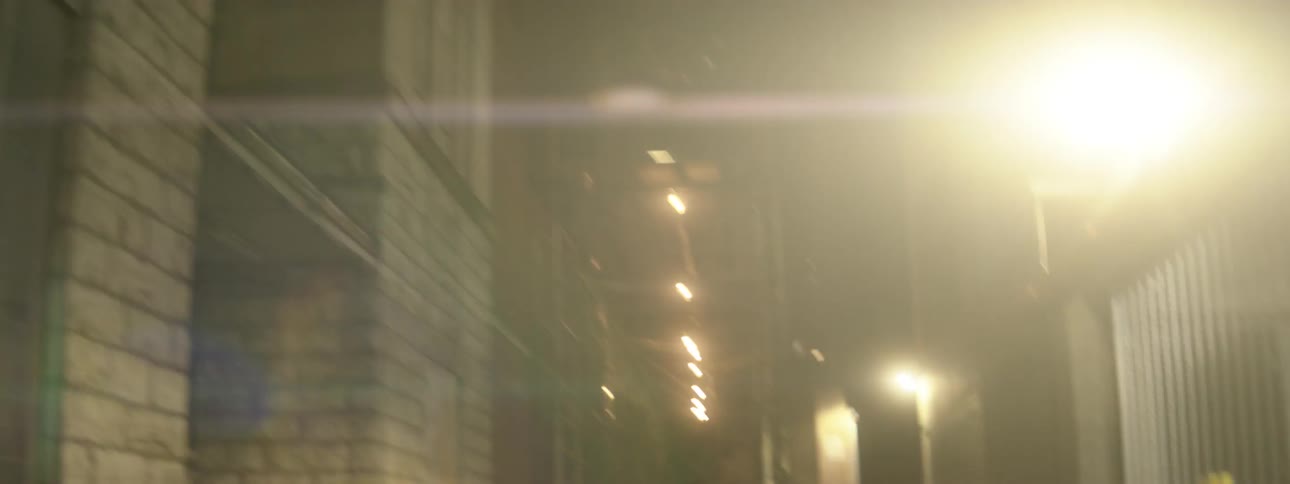 Street lamps shine in a city at night