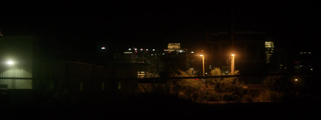 A city is illuminated at night by lamp posts