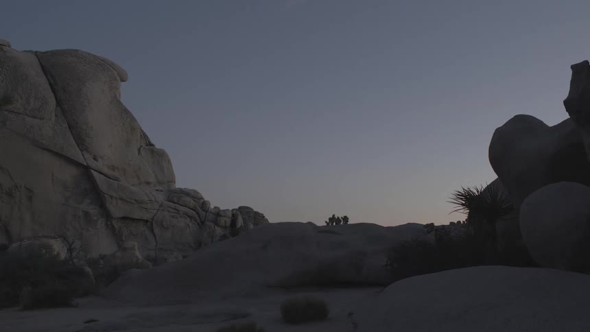 Shrubs lay motionless on the side of a rock formation