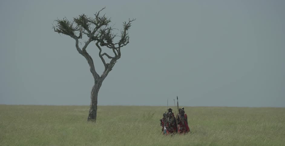 A group of maasai march through the field