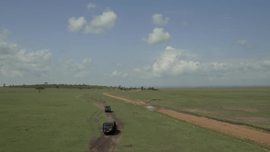 Two jeeps travel on a dirt path on an african savanna during the day