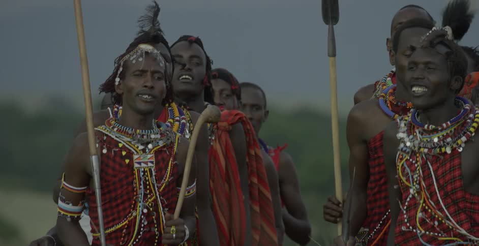 A group of maasai march through the field