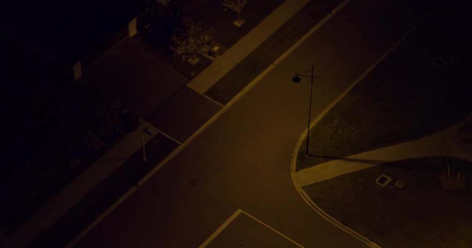 Lamp posts dimly light a neighborhood at night