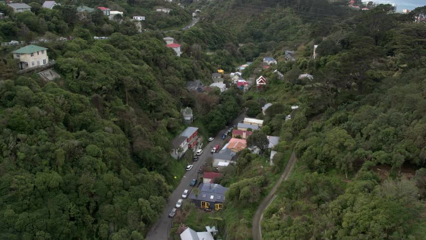 Houses cover the neighborhood landscape