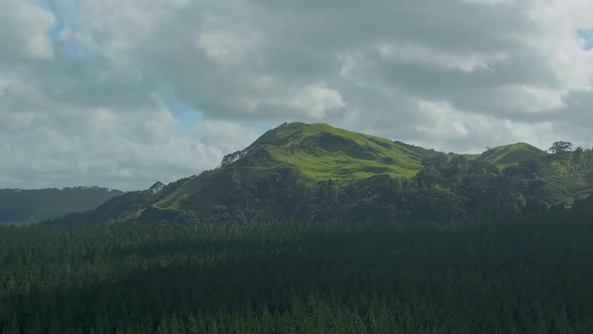 Trees line the foot of a mountain