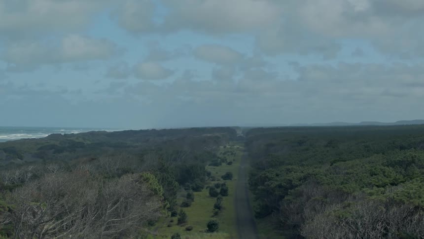 A road runs off into the distance near an ocean on a cloudy day