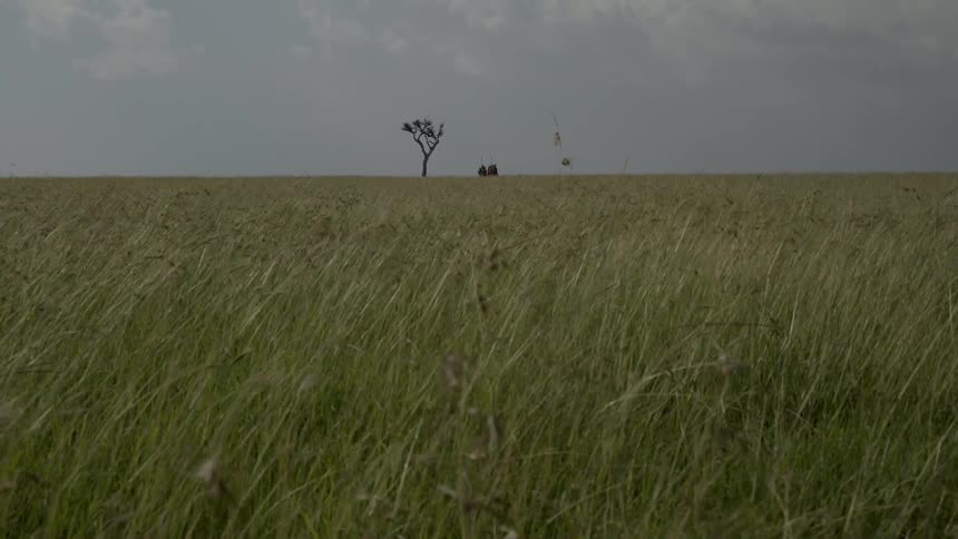A group of african tribesmen carrying spears dances as move across a field during the day