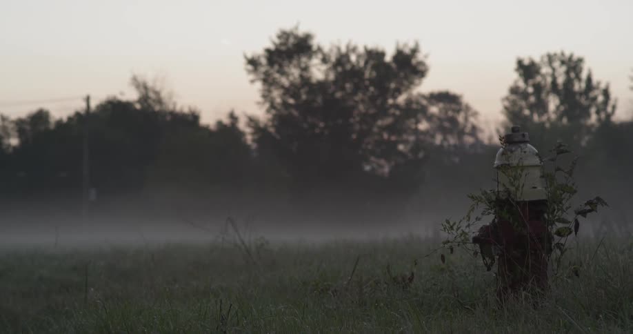Mist hovers over a grassy field at sunrise
