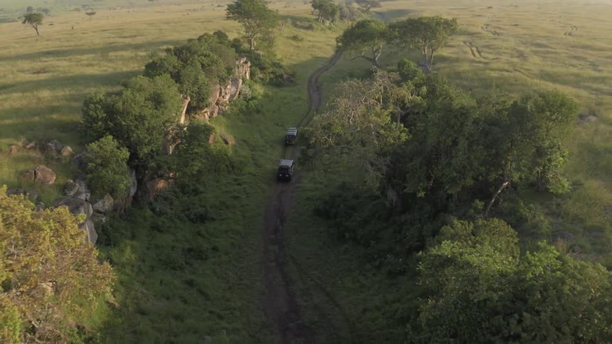 Two trucks travel on a dirt road in the safari