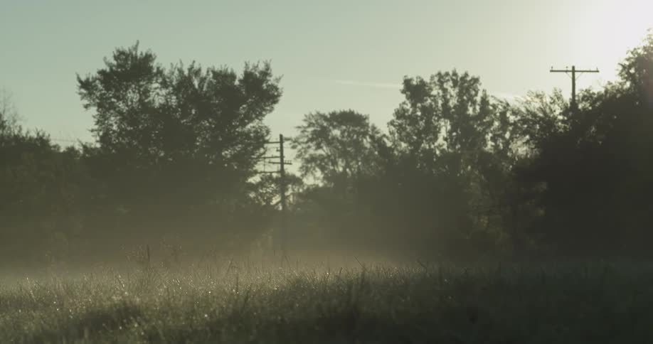 The sun shines down on a field with trees and power poles