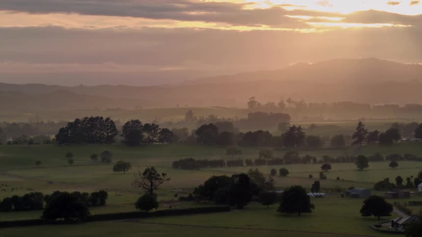 A green valley with trees is filmed from a drone at dawn