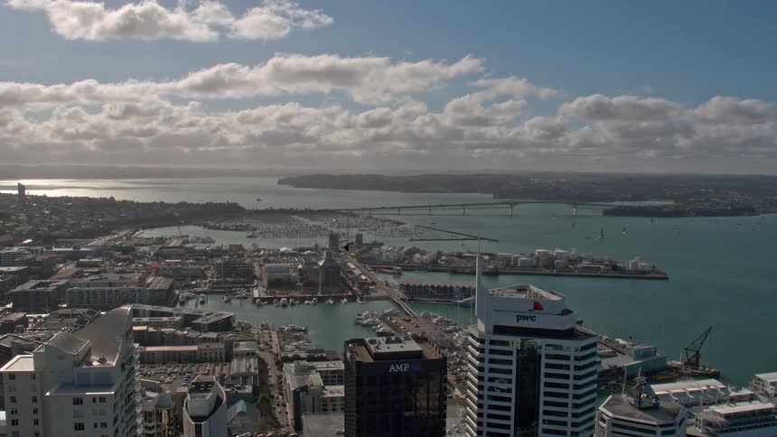 A bird flies through the sky above a city on harbor on a cloudy day