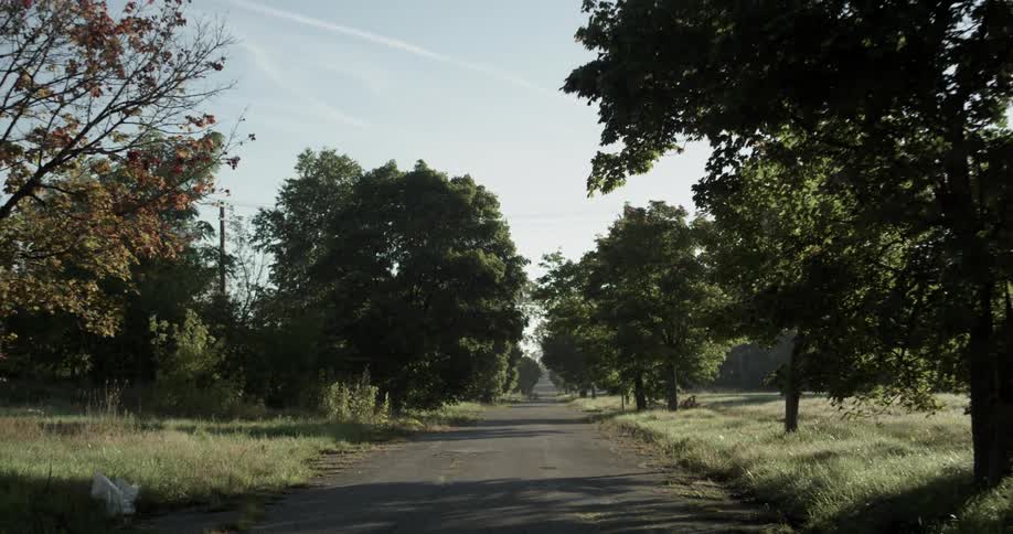 Trees line each side of the road