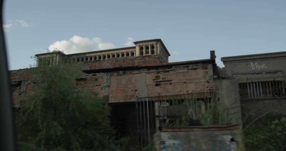 Trees grow outside of abandoned buildings