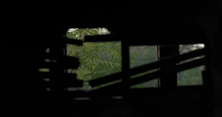A window in another room shows through exposed wall slats in a rundown home