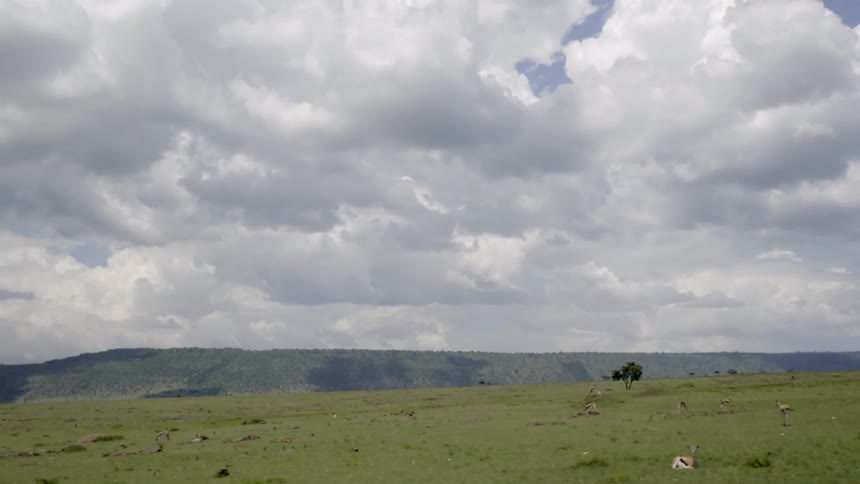 A truck travels through an open field