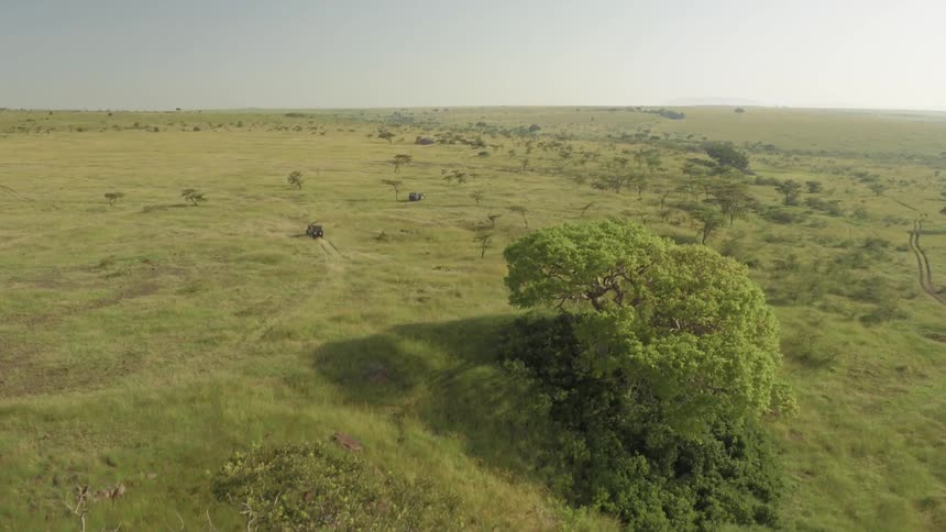 Two jeeps travel on a dirt path across an african savanna during the day