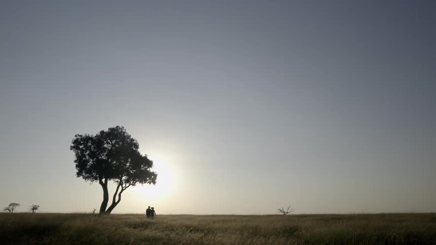 A couple walk beneath a tree at dusk