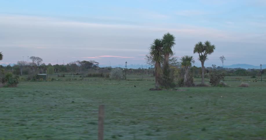 Shrubs and grass cover the rural landscape
