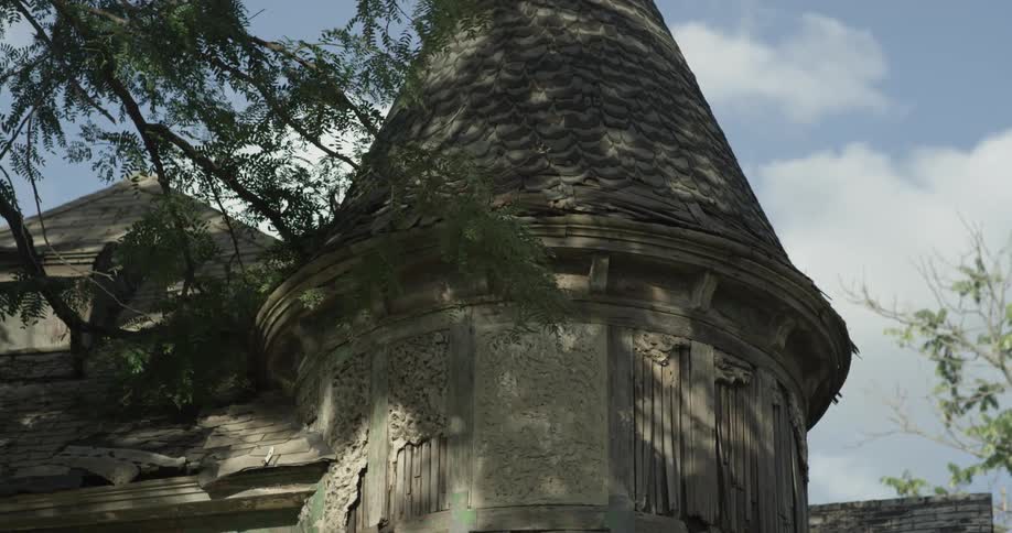 A tall tree grows into an abandoned house