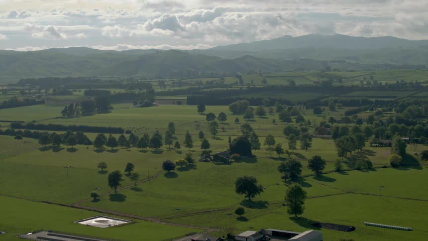 A large green pasture with a few trees and a couple houses is filmed by a drone