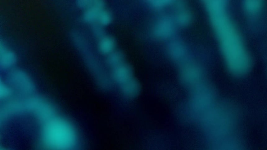 Blurry numbers create streams of light on a computer screen