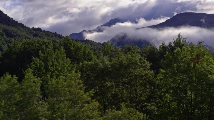 Trees and clouds cover a mountains range
