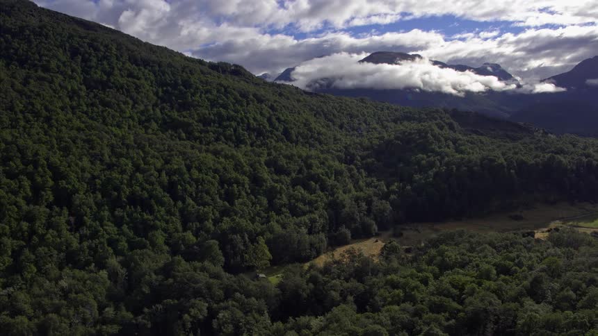 The mountain range is covered with lush trees