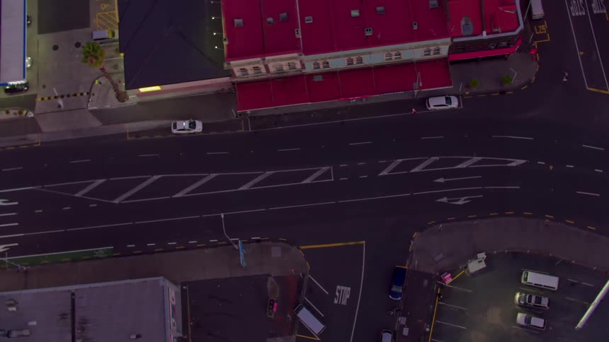 Birds and cars travel on the city street below