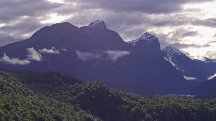A dense forest with mountains in the background is filmed from the air