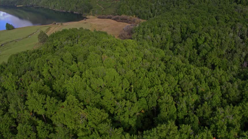 Clouds hover on hillsides covered with dense forest near a lake