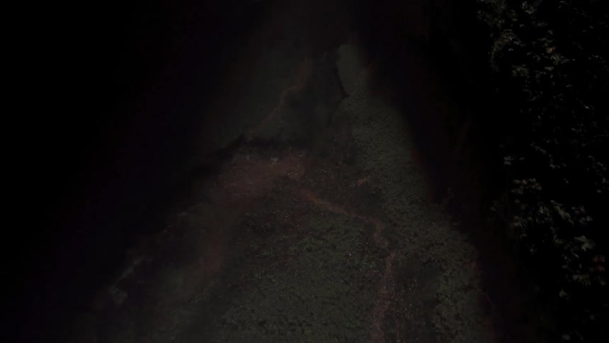 The forest on the side of the hill is dark at night