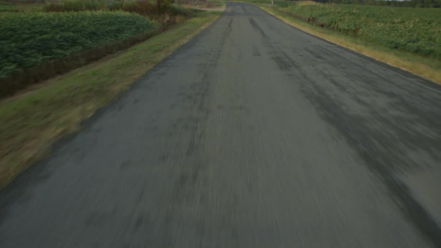 Damp asphalt trails off into the distance as a vehicle travels over it