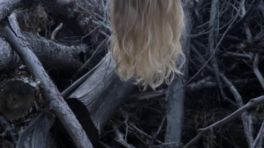 Someone is dangling their long blonde hair upside over a bunch of logs