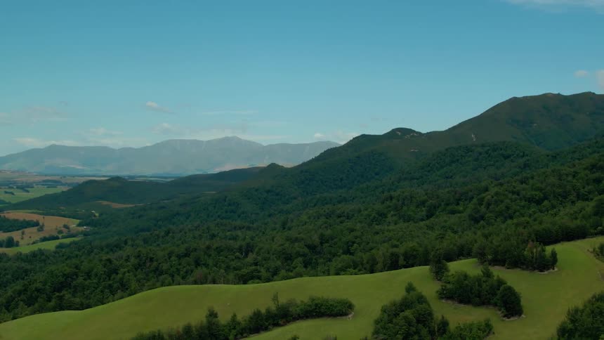 A rolling hill is covered with green grass and trees